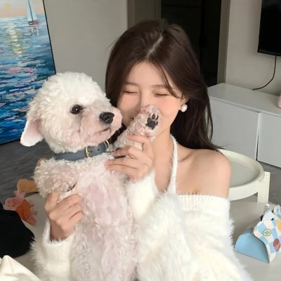 我的天才宝贝国语